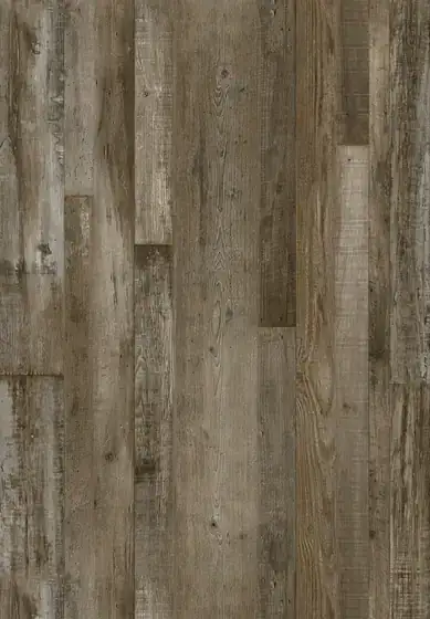 Petrified Forest Lite, XU141